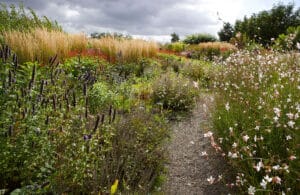 jardin naturalista perenene en plenitud
