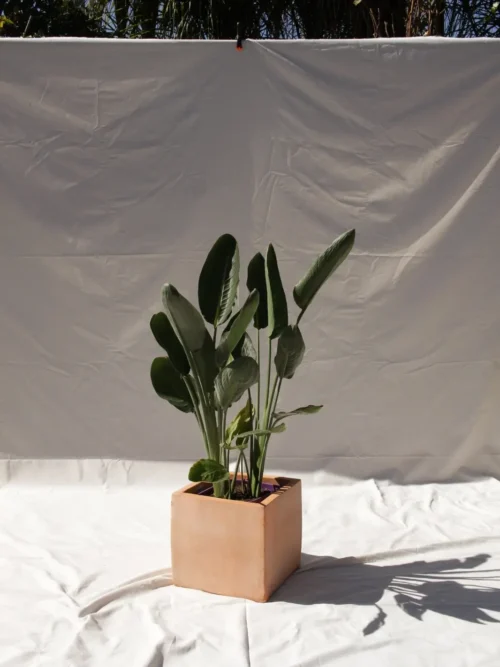 Maceta cuadrada de barro