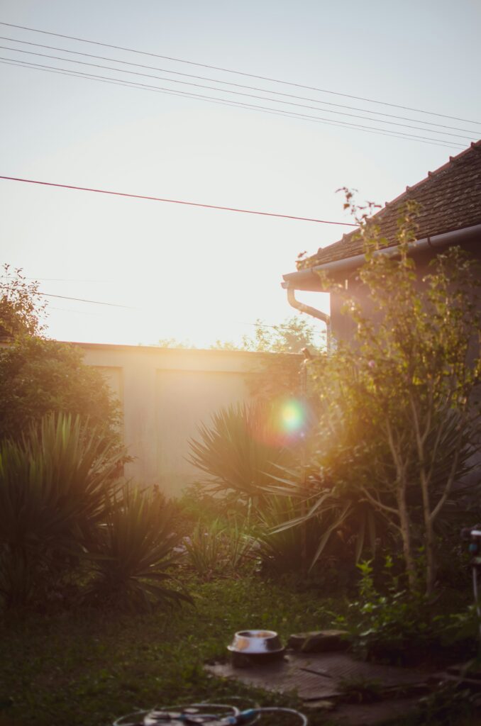 Diseño de jardín rectangular